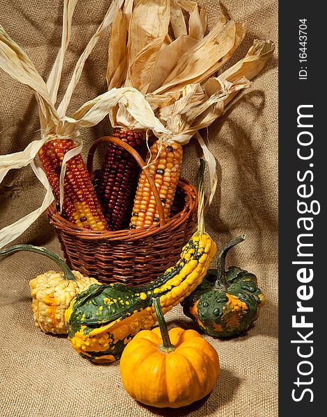 Pumpkin and decoring corn in the basket. Pumpkin and decoring corn in the basket