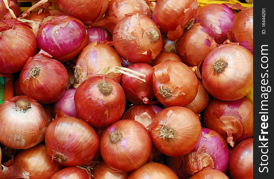 Close up of onion on market stand