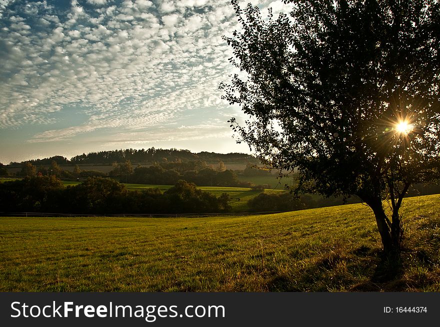 Nature sunset tucked inside a tree. Nature sunset tucked inside a tree