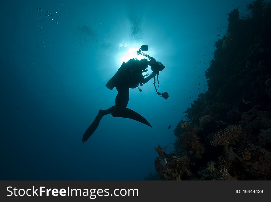 Diver - underwater photographer- silhouette taken in the Red Sea.