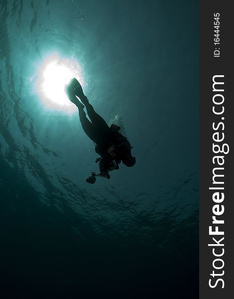 Diver - Underwater Photographer- Silhouette