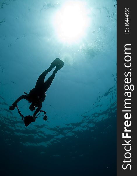 Diver - underwater photographer- silhouette taken in the Red Sea.