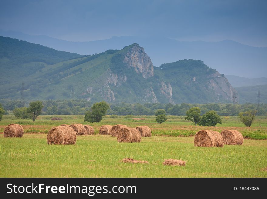 Neat haystacks on the background field and the nature. Neat haystacks on the background field and the nature