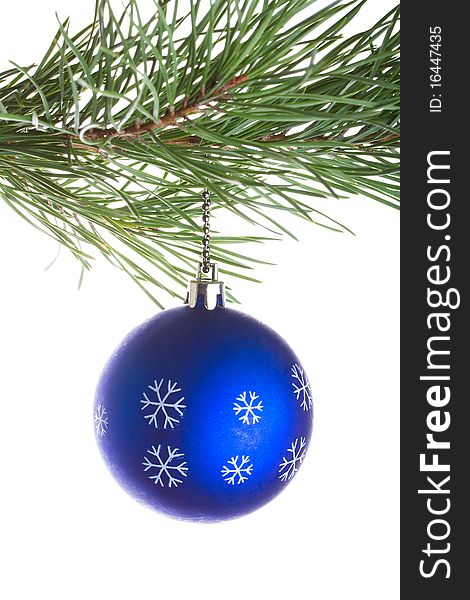 Blue ball on pine tree branch