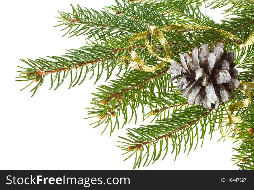 Close-up decorated fir tree with cone, isolated on white