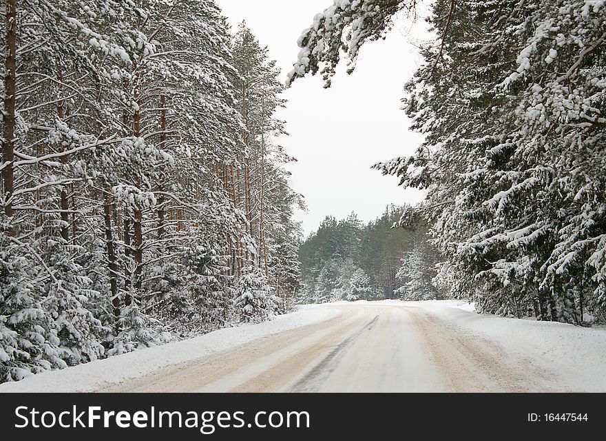 Country Road In Snow