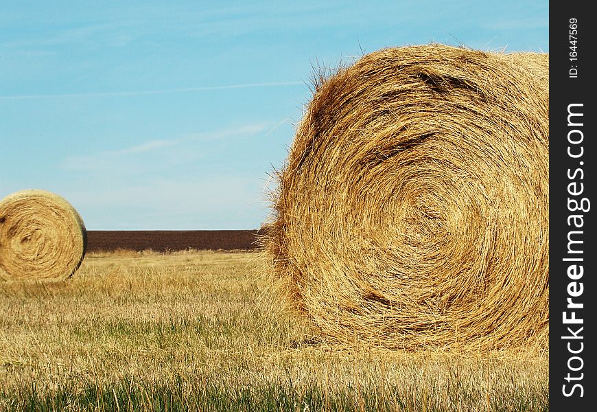 Round Hay bales