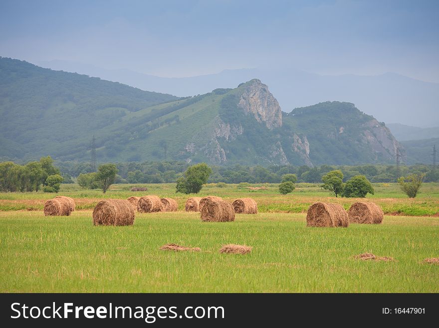 Neat haystacks on the background field and the nature