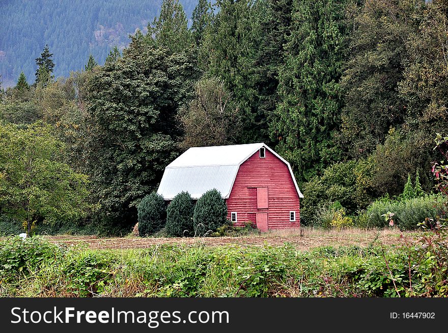 Red wooden barn in meadow surrounded by trees. Red wooden barn in meadow surrounded by trees