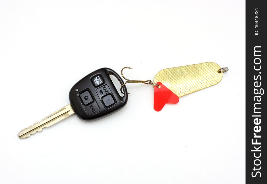 Car a key caught on a spinner for the big predatory fish