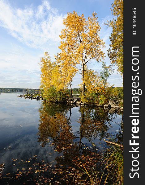 Autumn landscape on morning lake. Autumn landscape on morning lake