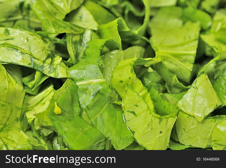 Closeup shot of freshly cut vegetables as food ingredients. Closeup shot of freshly cut vegetables as food ingredients