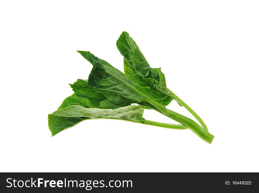 Green vegetable on white background