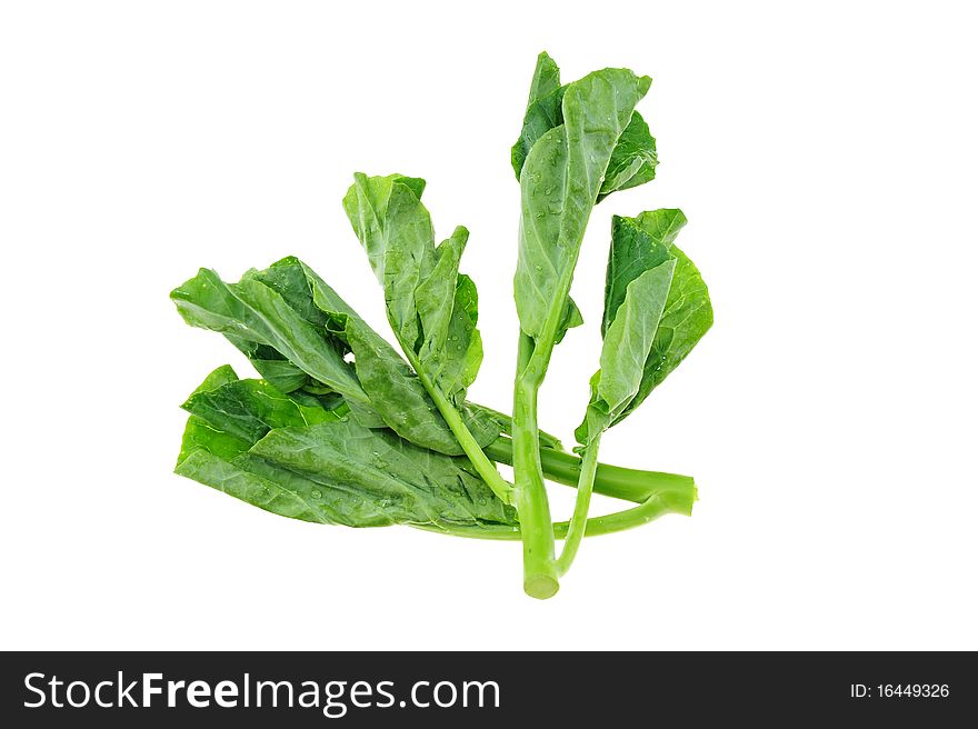 Green vegetable on white background