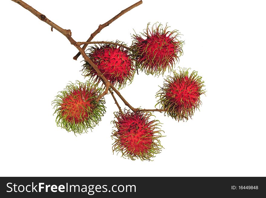 Red rambutan fruit on white background