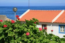 View On Roof And Ocean Royalty Free Stock Photography View On Roof And Ocean Royalty Free Stock Photography