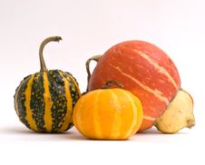 Mini Pumpkins Isolated On A White Stock Photos Mini Pumpkins Isolated On A White Stock Photos