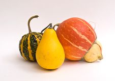 Mini Pumpkins Isolated Stock Photos Mini Pumpkins Isolated Stock Photos