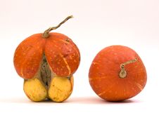 Mini Pumpkins Isolated On A White Stock Images Mini Pumpkins Isolated On A White Stock Images