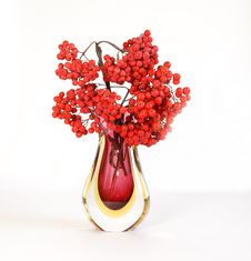 Red Natural Rowan Royalty Free Stock Image Red Natural Rowan Royalty Free Stock Image