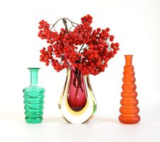 Red Natural Rowan Royalty Free Stock Image Red Natural Rowan Royalty Free Stock Image