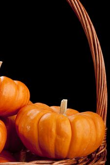 Pumpkins Royalty Free Stock Photo Pumpkins Royalty Free Stock Photo