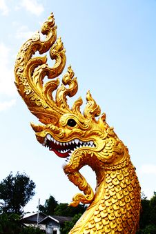 Gold Serpent Stock Images Gold Serpent Stock Images