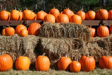 Orange Pumpkins In Rows On Hay Bales Stock Images Orange Pumpkins In Rows On Hay Bales Stock Images