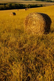 Roll Of Hay Stock Image Roll Of Hay Stock Image