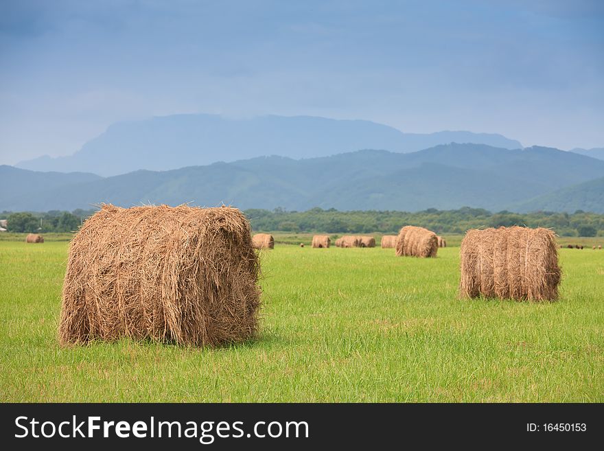 Neat haystacks on the background field and the nature