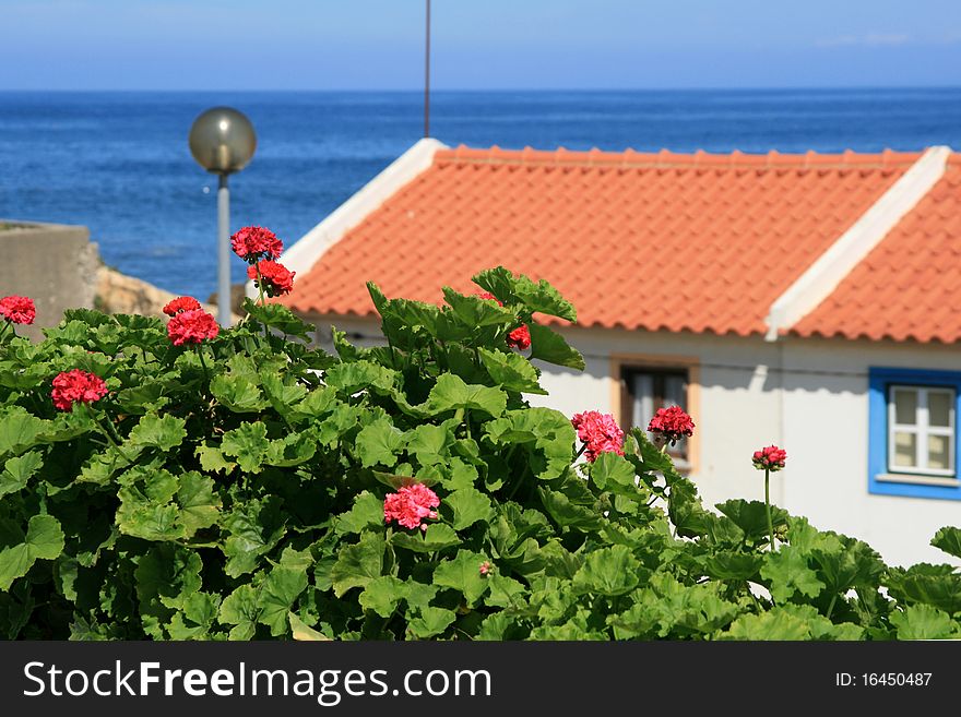 View on red roof, flowers and ocean. View on red roof, flowers and ocean