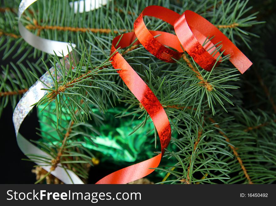 green branches of trees with Christmas decorations. green branches of trees with Christmas decorations