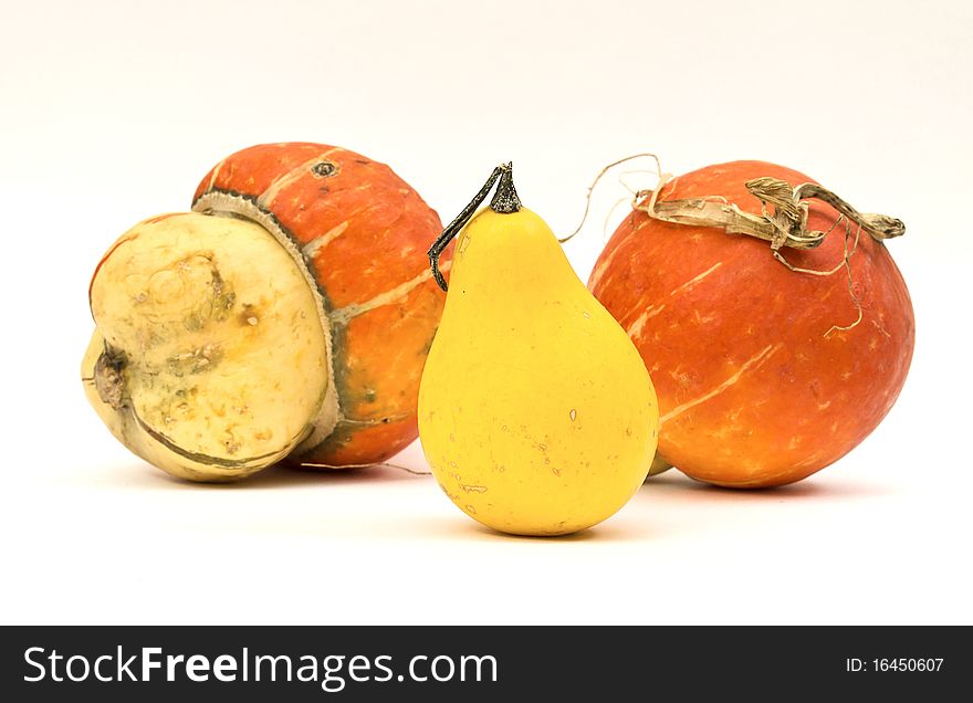 Mini Pumpkins Isolated on a White
