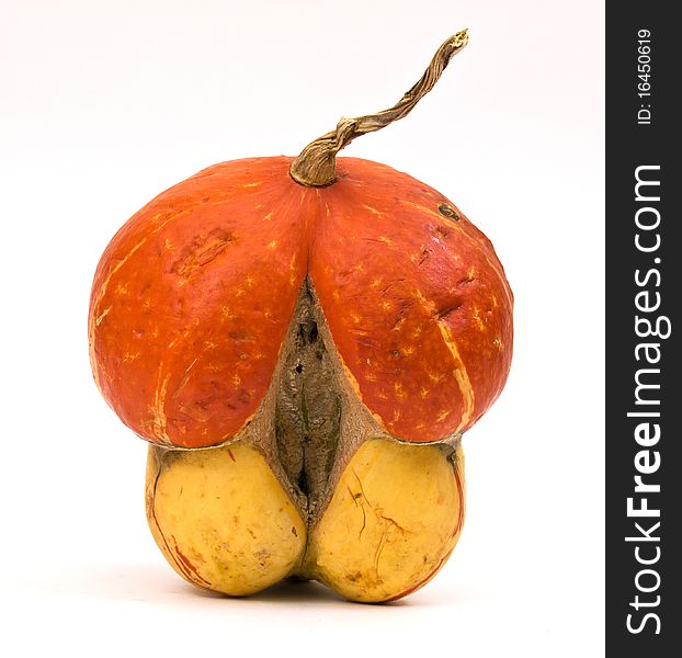 Colorful mini pumpkin isolated on white background