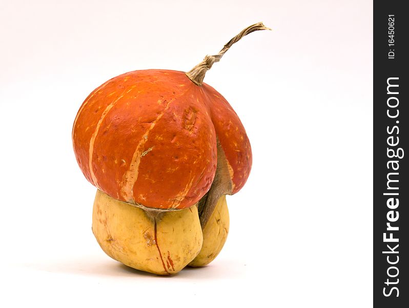 Colorful mini pumpkin isolated on white background