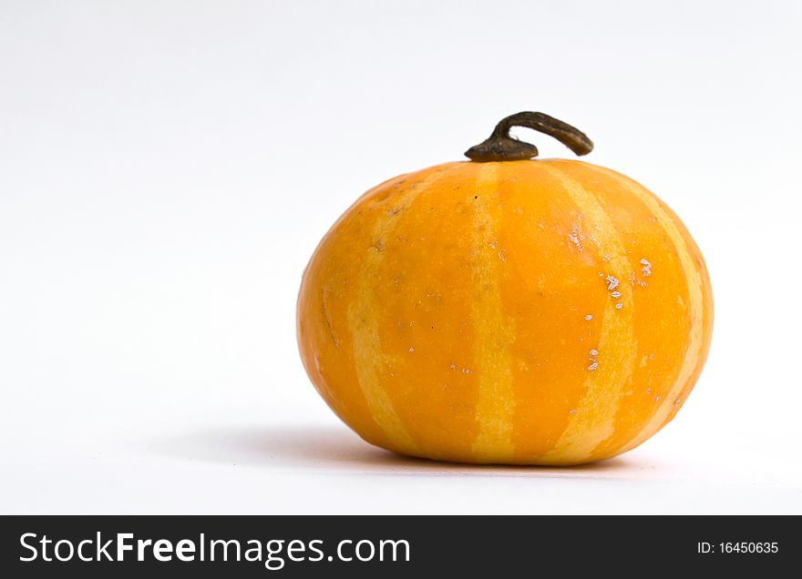 Colorful mini pumpkin isolated on white