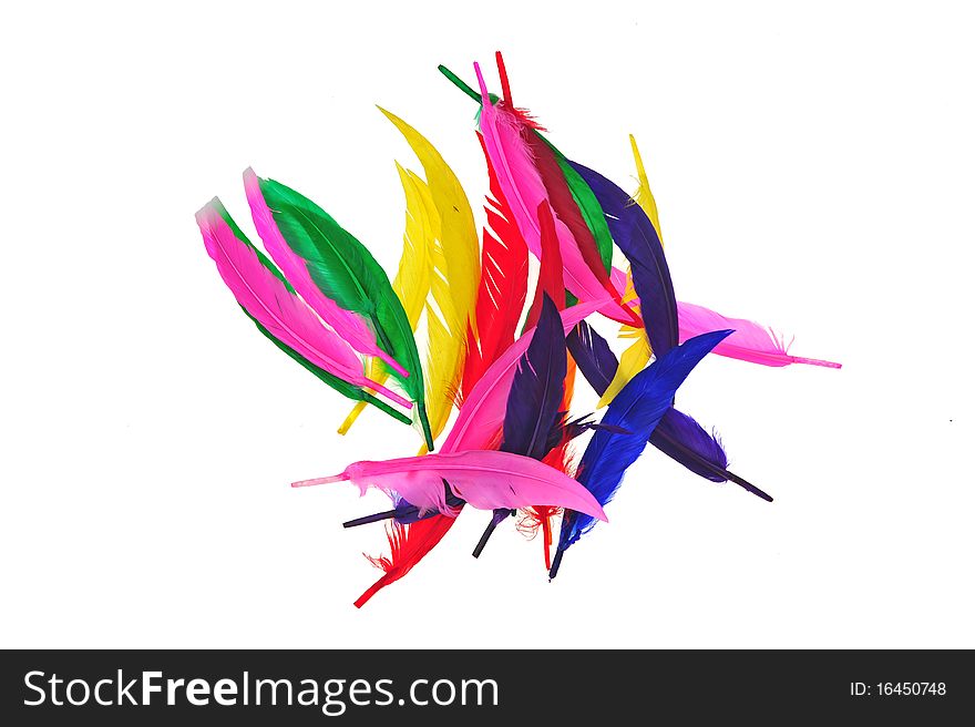 Dyed colorful bird feather on white beackground