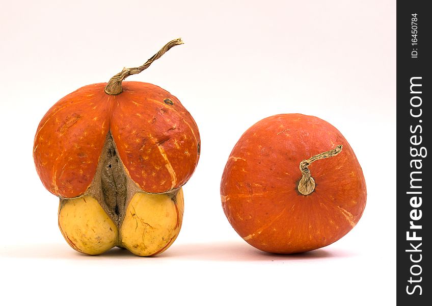 Mini Pumpkins Isolated On A White