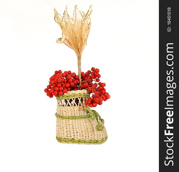 Still life with red natural rowan on a white background