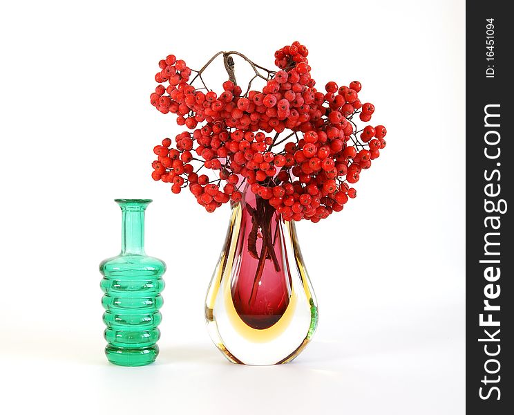 Still life with red natural rowan on a white background