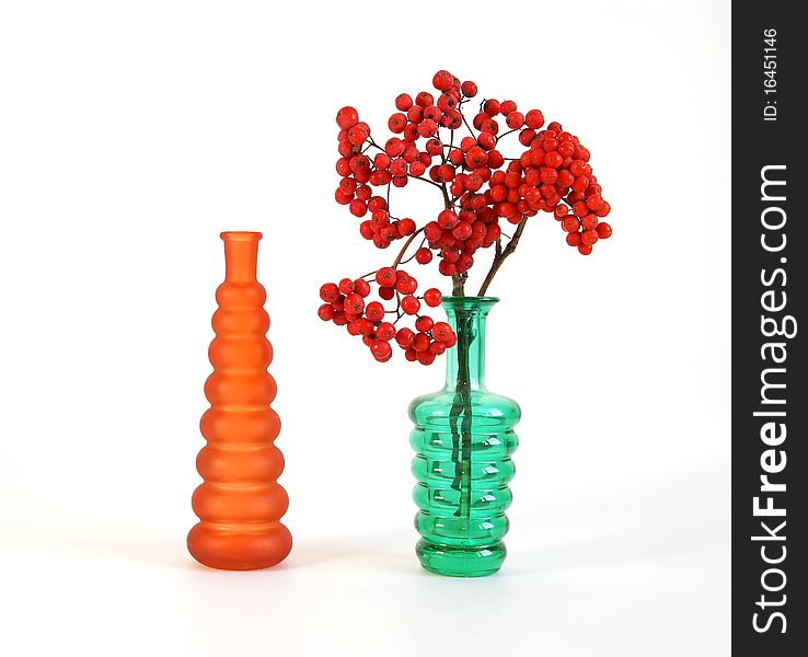 Still life with red natural rowan on a white background