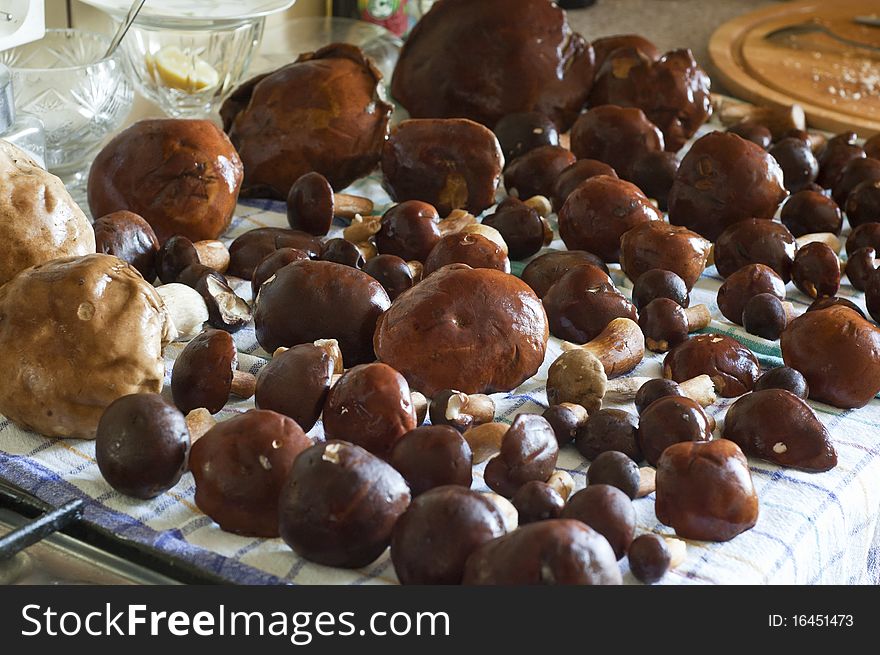 Many mushrooms on the table