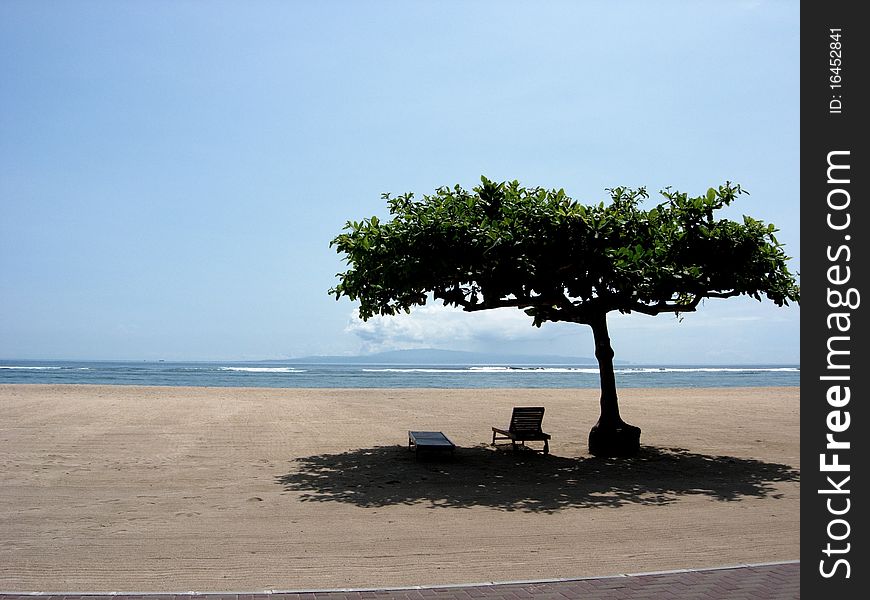 Under The Tree, By The Sea