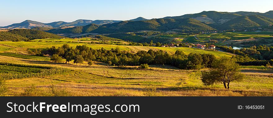 Rural Panorama