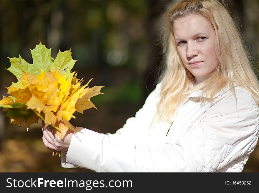 Pretty girl with maple leaves in her hands