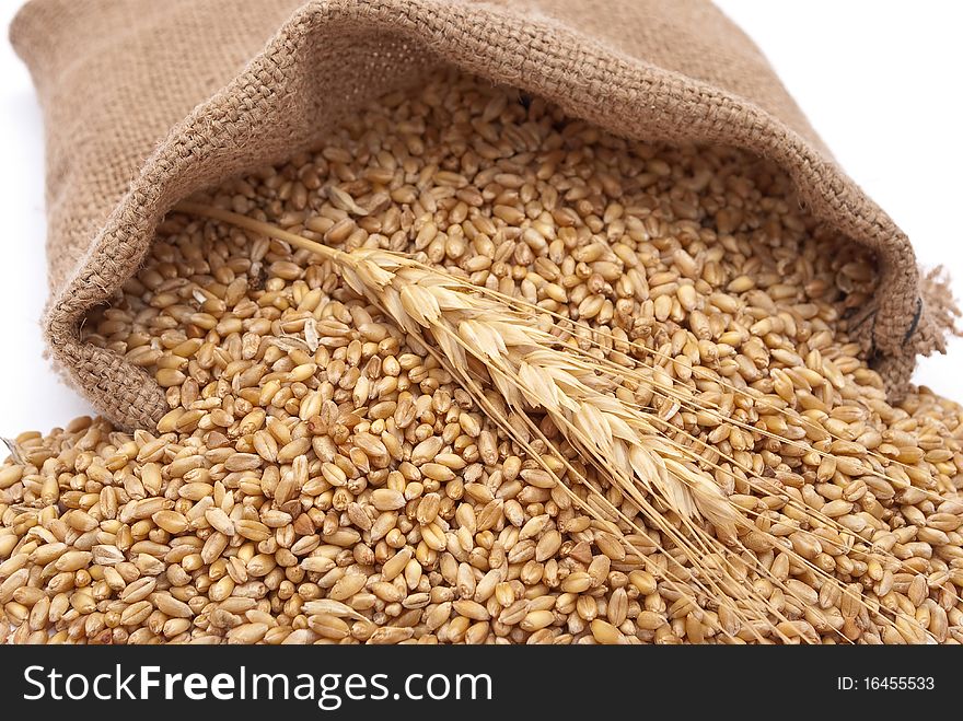 The Scattered Bag With Wheat