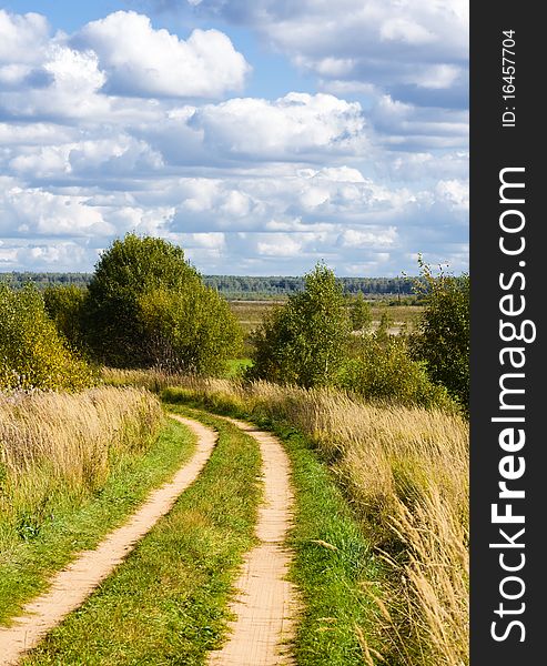 Summer landscape: road in field.