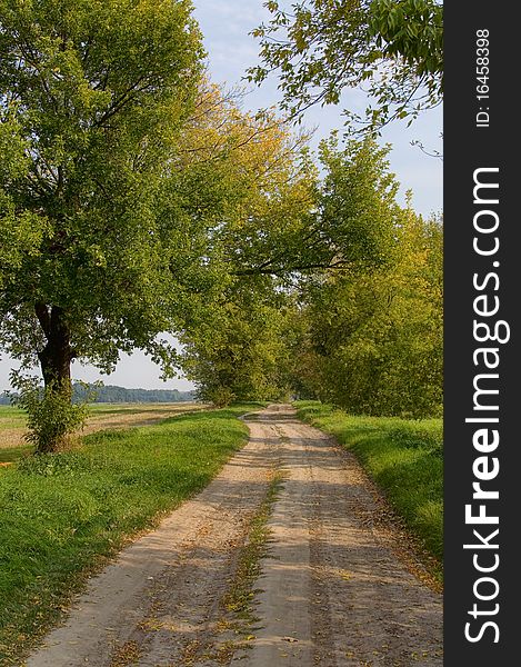 Path through the field, beautiful summer scenery