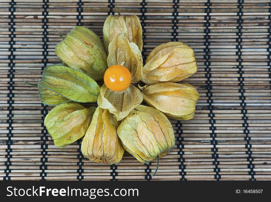 Detail of some physalis fruit