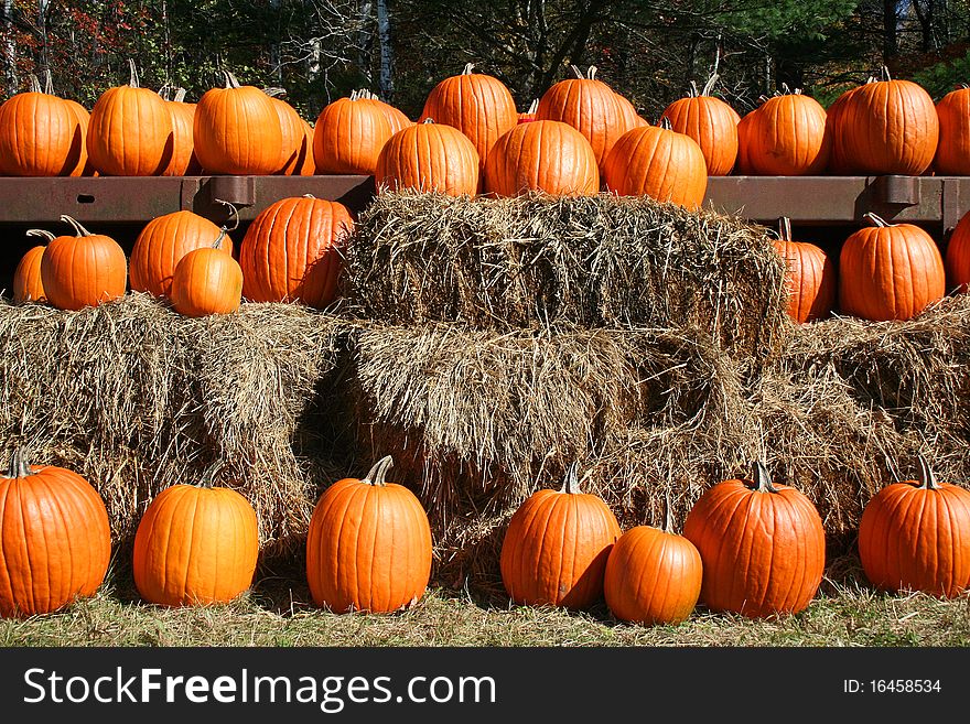 Orange Pumpkins In Rows On Hay Bales